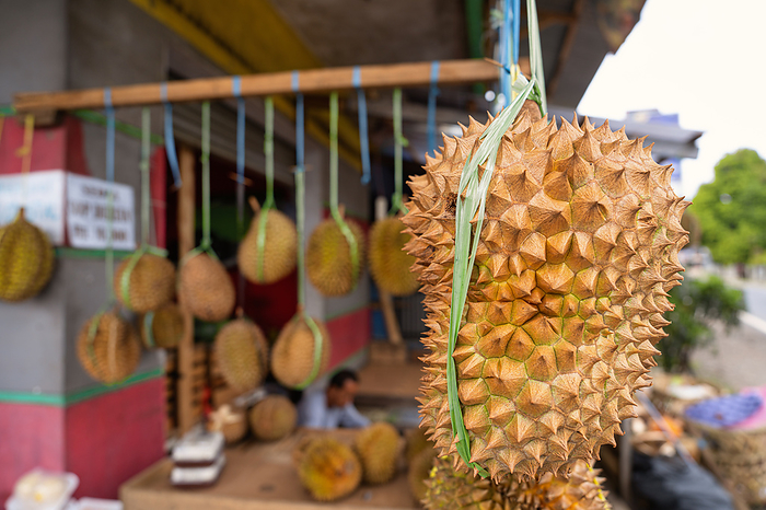 Durian fruit at a local market in West Java, Indonesia Durian fruit at a local market in West Java, Indonesia, Southeast Asia, Asia, by Spencer Clark