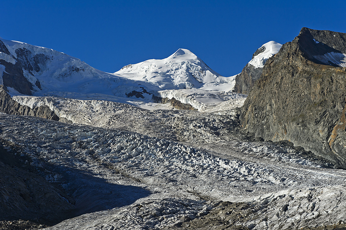Peak Castor, glacier Grenzgletscher, Zermatt, Valais, Switzerland Peak Castor, glacier Grenzgletscher, Zermatt, Valais, Switzerland, by Zoonar Georg