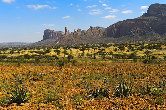 Savannah landscape of the Hawzien plain with the Gheralta mountain range, Hawzien, Tigray, Ethiopia Savannah landscape of the Hawzien plain with the Gheralta mountain range, Hawzien, Tigray, Ethiopia, by Zoonar Georg_A