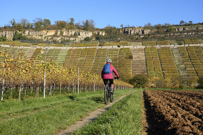 woman with electric bicycle in autumnal vineyards woman with electric bicycle in autumnal vineyards, by Zoonar Uwe Moser