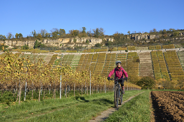 woman with electric bicycle in autumnal vineyards woman with electric bicycle in autumnal vineyards, by Zoonar Uwe Moser