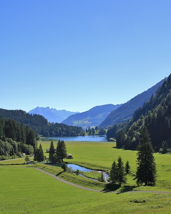 Idyllic lake Obersee and green meadow Idyllic lake Obersee and green meadow, by Zoonar Ursula Perret