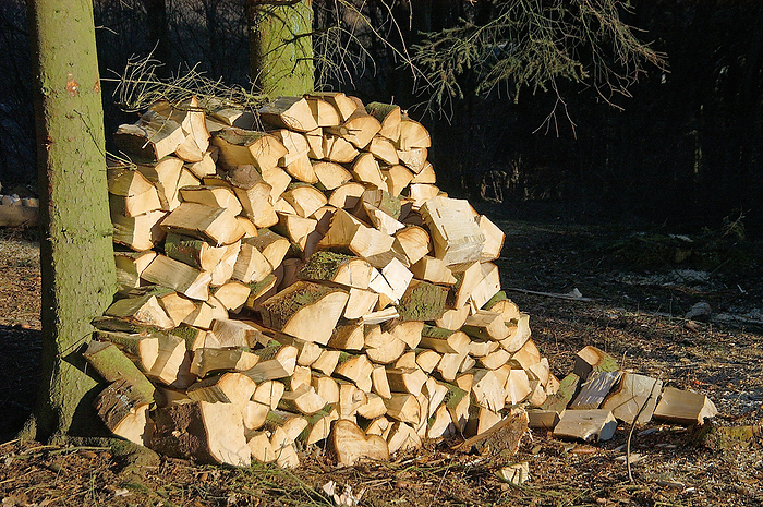 woodpile, firewood woodpile, firewood, by Zoonar zoonar Elke H