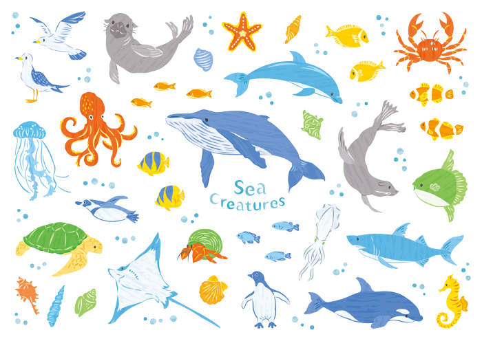 Sea Creatures Illustration Set