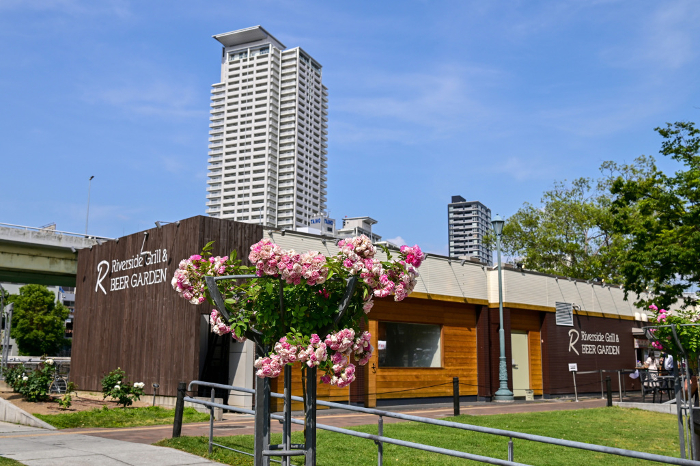 Osaka] Nakanoshima Rose Garden, lovely and beautiful against the blue sky amidst the urban buildings.