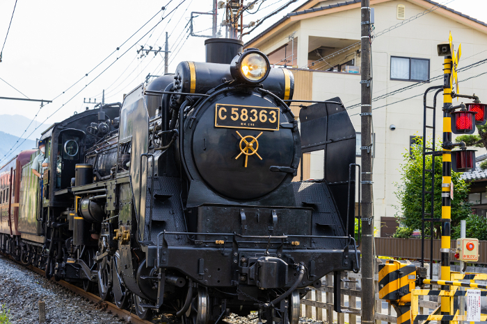 Chichibu Railway's Paleo Express