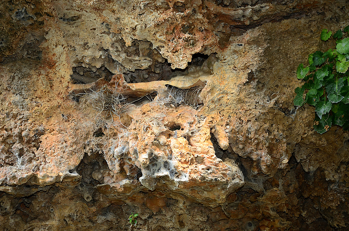 karst cave, cave, littoral deposits, pelagic deposits, karst cave, cave, littoral deposits, pelagic deposits,, by Zoonar J rgen Vogt