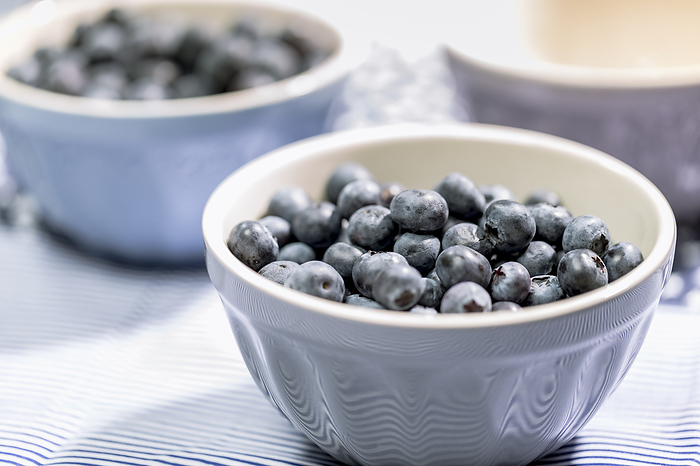 Blueberries in small gray bowl on light blue background   Close up Blueberries in small gray bowl on light blue background   Close up, by Zoonar Dieter Meyer