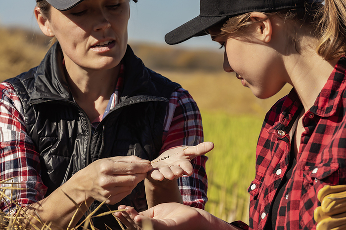 A woman farmer sitting in the fields teaching her apprentice about modern farming techniques for canola crops using wireless technologies and agricultural software; Alcomdale, Alberta, Canada, by LJM Photo / Design Pics