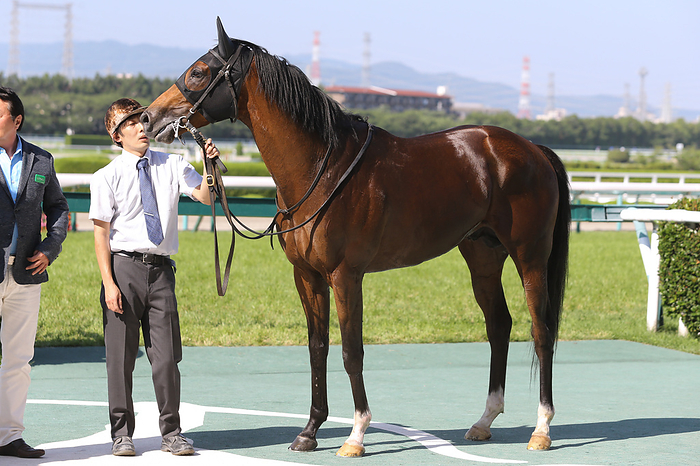 2023 Yonago Stakes 2023 06 17 HANSHIN 11R yonago stakes yonago stakes Winner Meisho Shintake  Hanshin Racecourse in Hyogo, Japan, June 17, 2023.