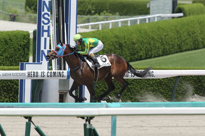 2023 2yrs old New Horse Race Make Debut Hanshin 2023 06 17 HANSHIN 05R  Winner Satono Phoenix Ryuji Wada Jockey  yellow cap    Hanshin Racecourse in Hyogo, Japan, June 17, 2023.