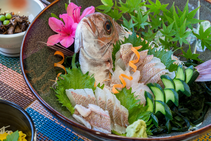 Fresh sea bream sashimi