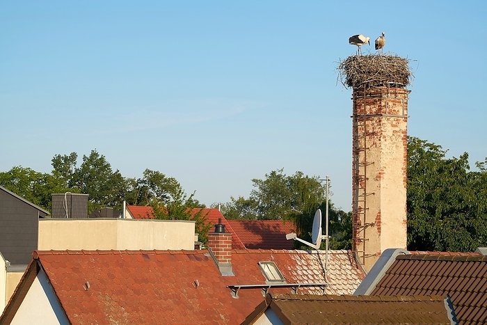 Stork nest above the roofs of the village Biederitz near Magdeburg Stork nest above the roofs of the village Biederitz near Magdeburg, by Zoonar Heiko Kueverl