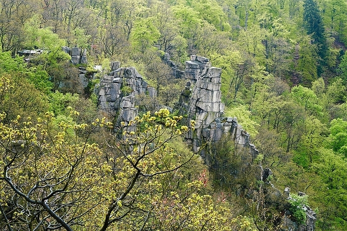 Rock formation above the Bodetal valley near Thale in the Harz National Park Rock formation above the Bodetal valley near Thale in the Harz National Park, by Zoonar Heiko Kueverl