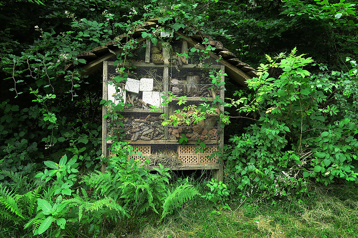 insect house  insect nesting insect house  insect nesting, by Zoonar J rgen Vogt