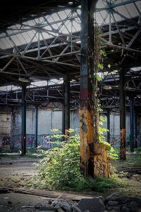 dilapidated factory hall in an abandoned factory in Magdeburg in Germany dilapidated factory hall in an abandoned factory in Magdeburg in Germany, by Zoonar Heiko Kueverl