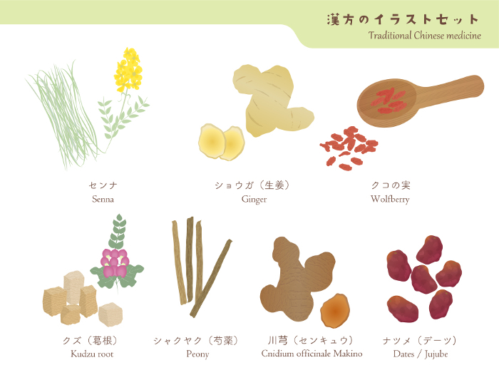 Clip art set of Chinese medicine and spice-2