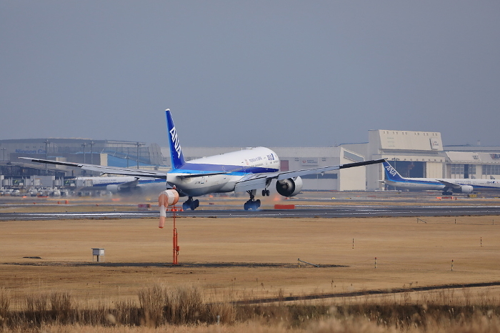 Narita Airport runway ANA plane lands