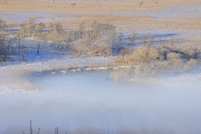 Hokkaido: Kushiro River and Kushiro Marsh Fog and Ice in the Morning Sun