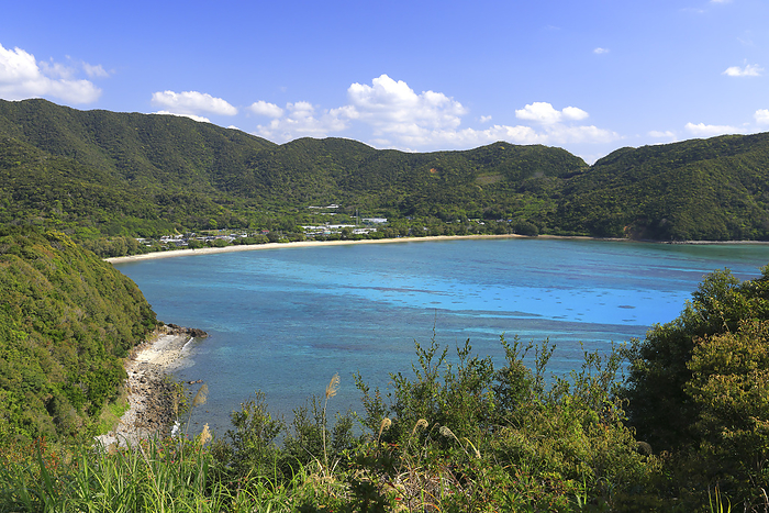 Kattetsu Bay seen from Manenzaki Observation Plaza, Amami Oshima Island, Kagoshima Prefecture, Japan