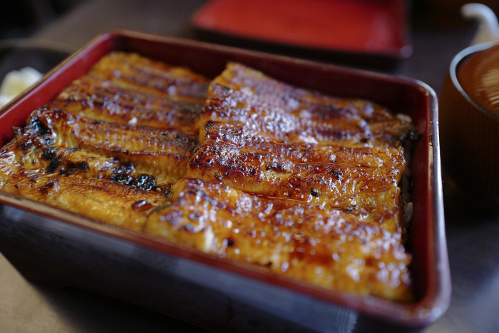 broiled eel served over rice in a lacquered box