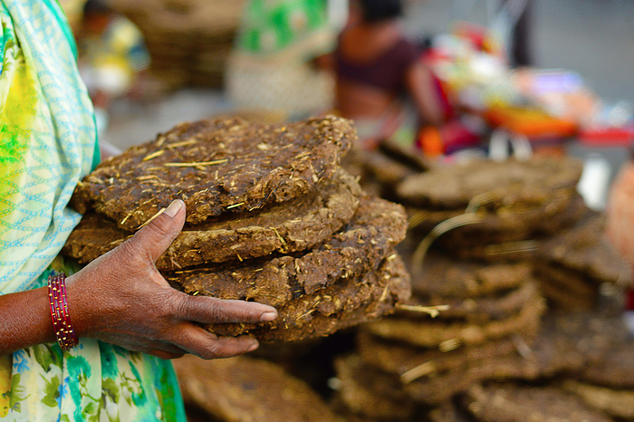 Cow dung cakes for sale in Pune Cow dung cakes for sale in Pune, by Zoonar RealityImages
