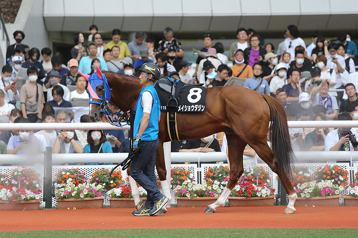 2023 Tempozan Stakes 2023 06 24 HANSHIN 11R Tempozan Stakes TEMPOZAN STAKES Winner Meisho Dajin   Hanshin Racecourse in Hyogo, Japan, June 24, 2023.  Photo by Eiichi Yamane AFLO 