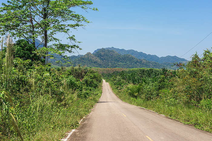 Road through the national park Khao Sok in the south of Thailand Road through the national park Khao Sok in the south of Thailand, by Zoonar Stefan Laws