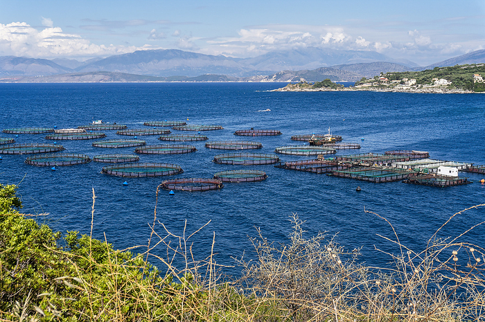 Aquaculture on Corfu Aquaculture on Corfu, by Zoonar ironjohn