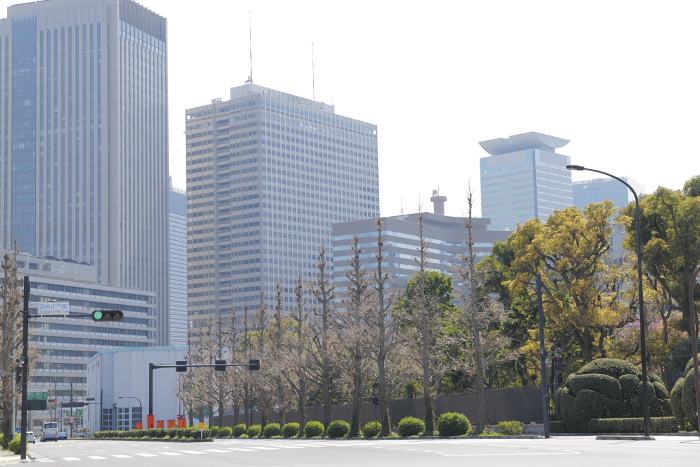 Kasumigaseki cityscape