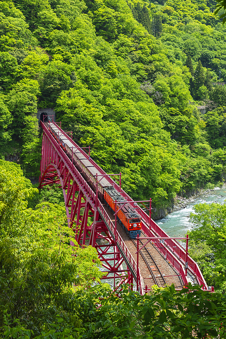 Toyama Prefecture Kurobe Gorge Railway in fresh green