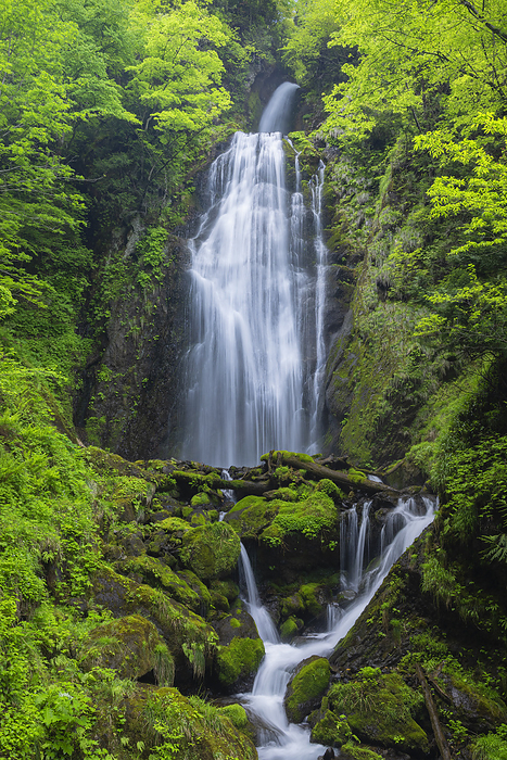 Retrospective Falls in Akita Prefecture's Hagukeri Gorge