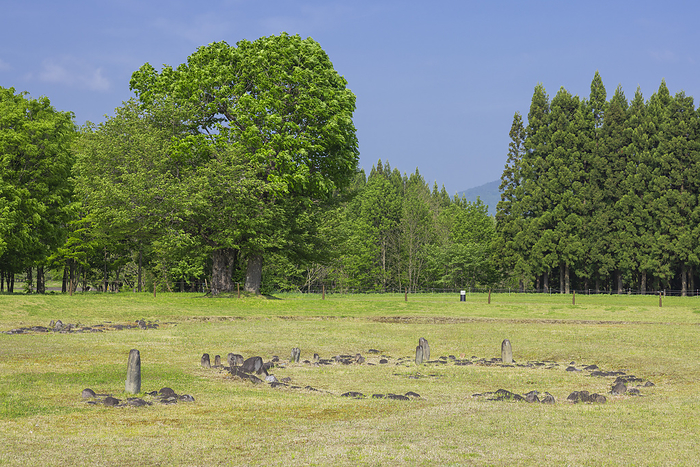 Akita Prefecture Oyu Ring of Fresh Greenery