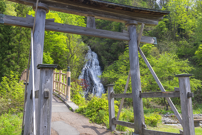 Akita Prefecture Kosaka Nanadaki Falls in fresh green