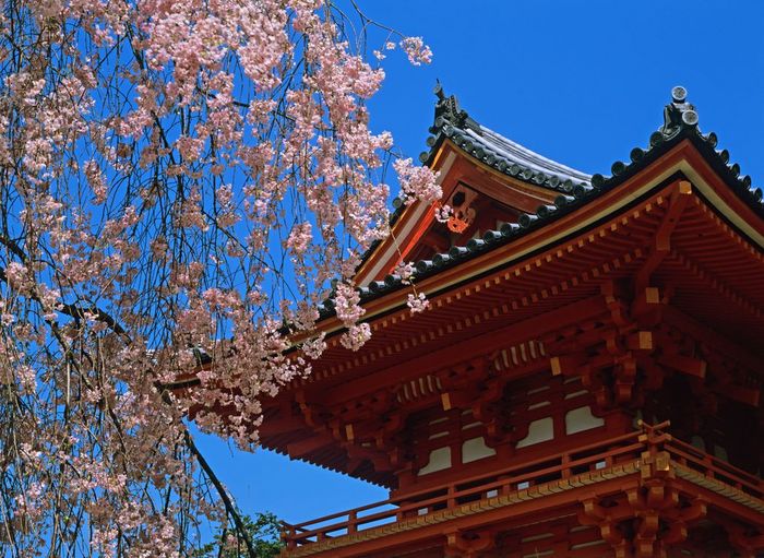 Bell Tower of Ninnaji Temple, Kyoto