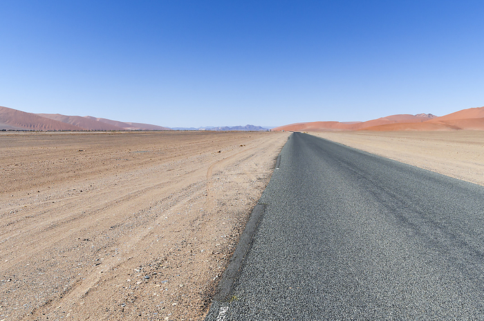 Straight road in the Namib desert to the horizon, Namibia, Africa. Straight road in the Namib desert to the horizon, Namibia, Africa., by Zoonar Uwe Bauch