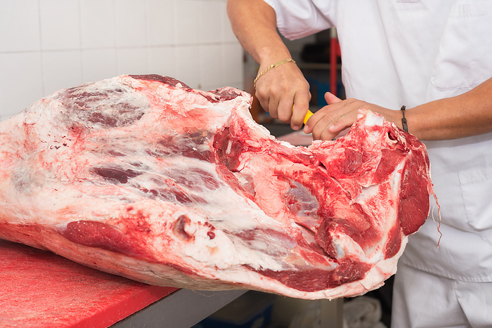 butcher cutting meat in the butchery. Close up butcher cutting meat in the butchery. Close up, by Zoonar DAVID HERRAEZ