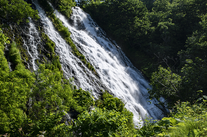 Oshinkoshin Falls