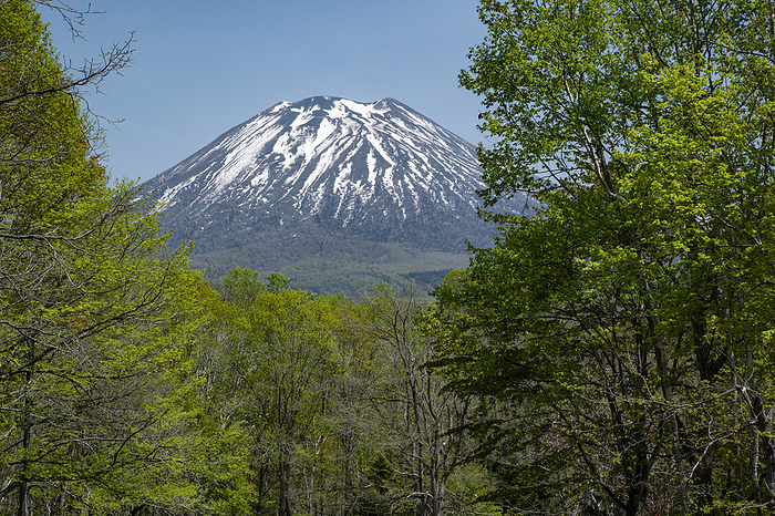 Mt. Yotei in early spring