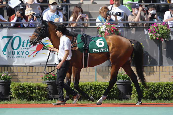 2023 CBC Prize  G3  Smart Courage is led through the paddock before the CBC Sho at Chukyo Racecourse in Aichi, Japan on July 2, 2023.