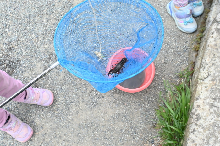Children's games and crayfish catching