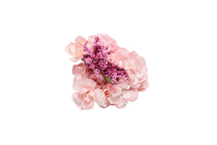 Bouquet of Starches and Carnations on White Background