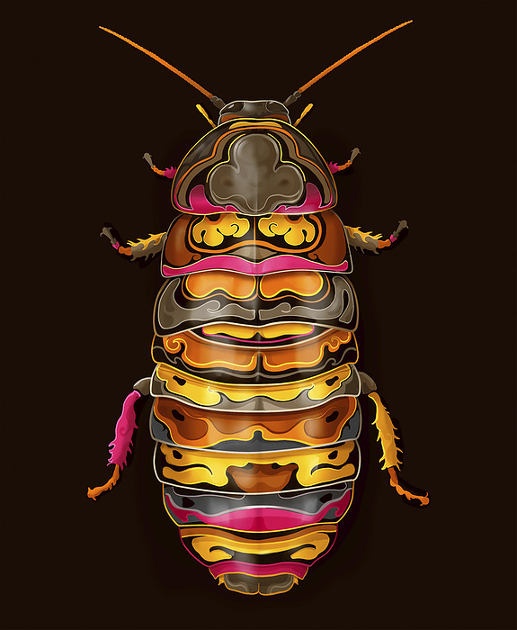 Cockroach, illustration Illustration showing a colourful and stylised rendering of a Hissing Cockroach., by SAM FALCONER, DEBUT ART SCIENCE PHOTO LIBRARY