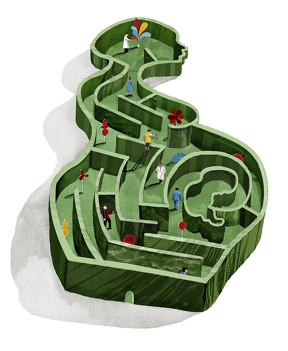 Pregnancy maze, conceptual illustration Conceptual illustration showing a maze within the shape of a pregnant woman., by SAM FALCONER, DEBUT ART SCIENCE PHOTO LIBRARY