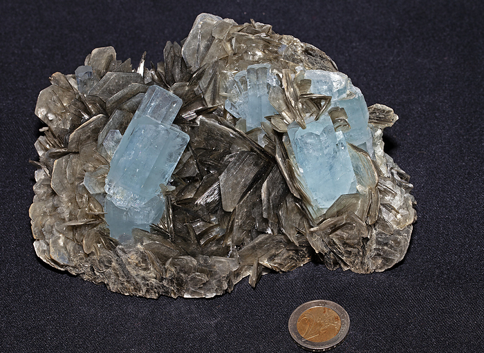 Aquamarine in muscovite Hexagonal prisms of aquamarine embedded in a substrate of flaky muscovite, a common micaceous mineral. Aquamarine is a variety of beryl, the blue to blue green variety, named after the Latin for  water of the sea . Minerals of the beryl suite are usually found in pegmatites, complex rock suites formed at great depth. Sample size is 150 mm and is from the Nagar district of Pakistan. With coin for scale., by DIRK WIERSMA SCIENCE PHOTO LIBRARY