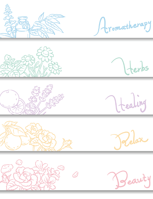 Sketch illustration of aromatic oils and herbs for banner, background, etc. Vector image