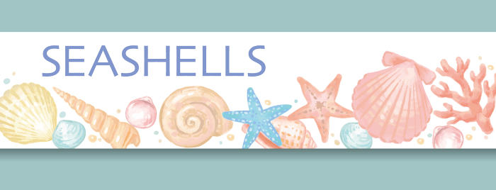 Banner design with sea shells, starfish and coral. Watercolor style, vector illustration.
