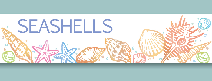 Banner design with sea shells and starfish. Watercolor style, vector illustration.