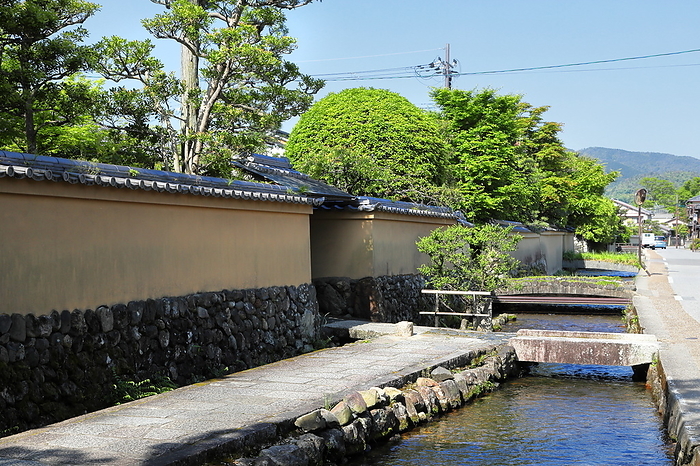 Row of Shake Houses in Kamigamo in Spring, Kyoto City, Kyoto Prefecture