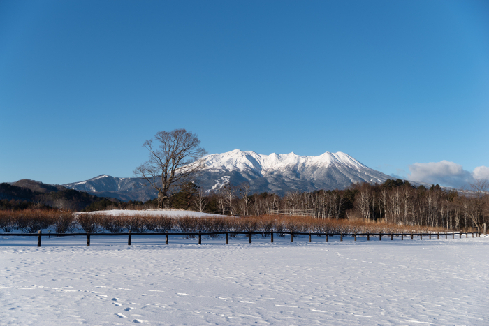 Kaida Kogen Plateau in snowy scenery